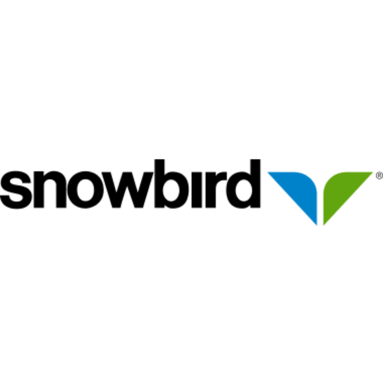 Snowbird_1